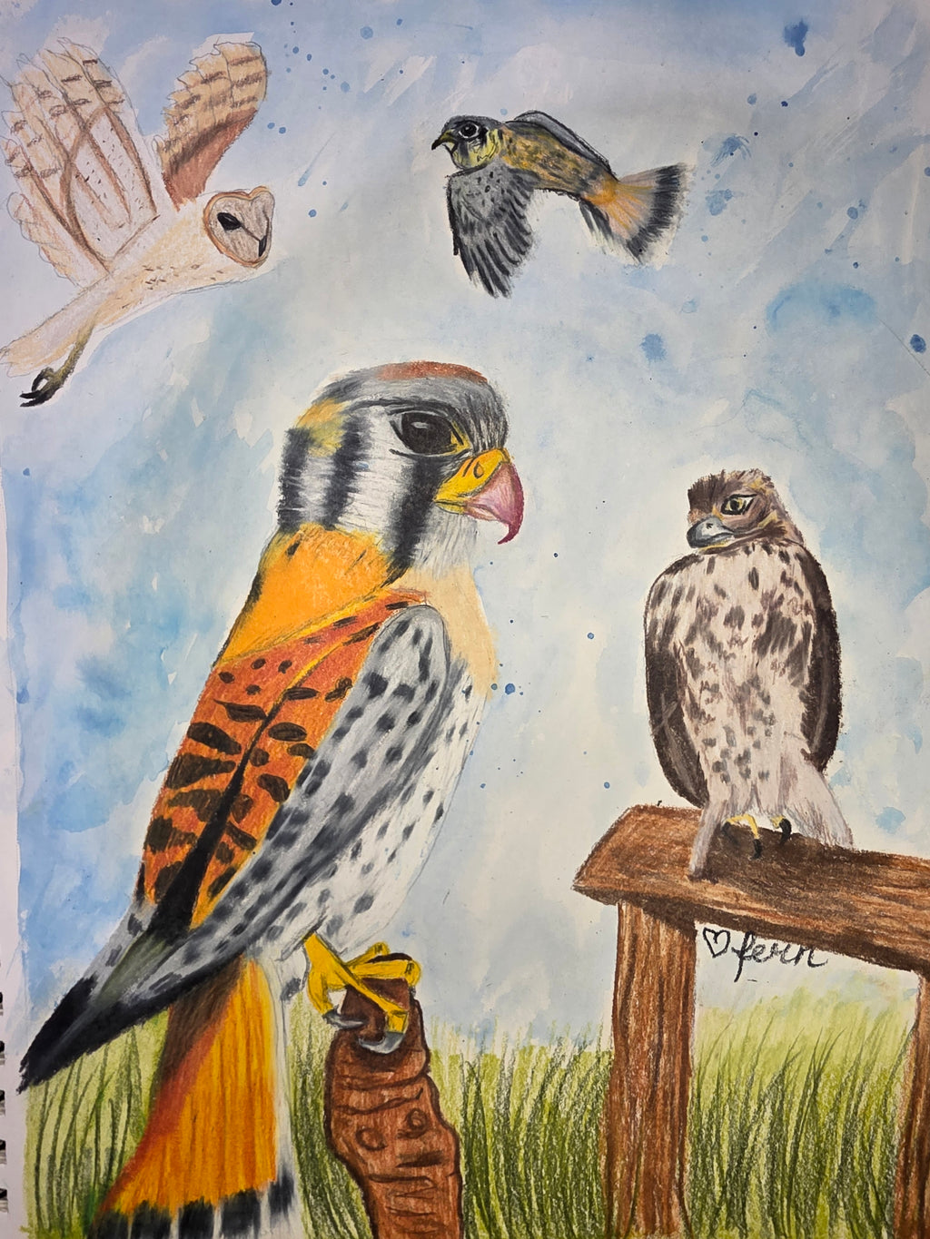Birds of prey
