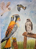 Birds of prey