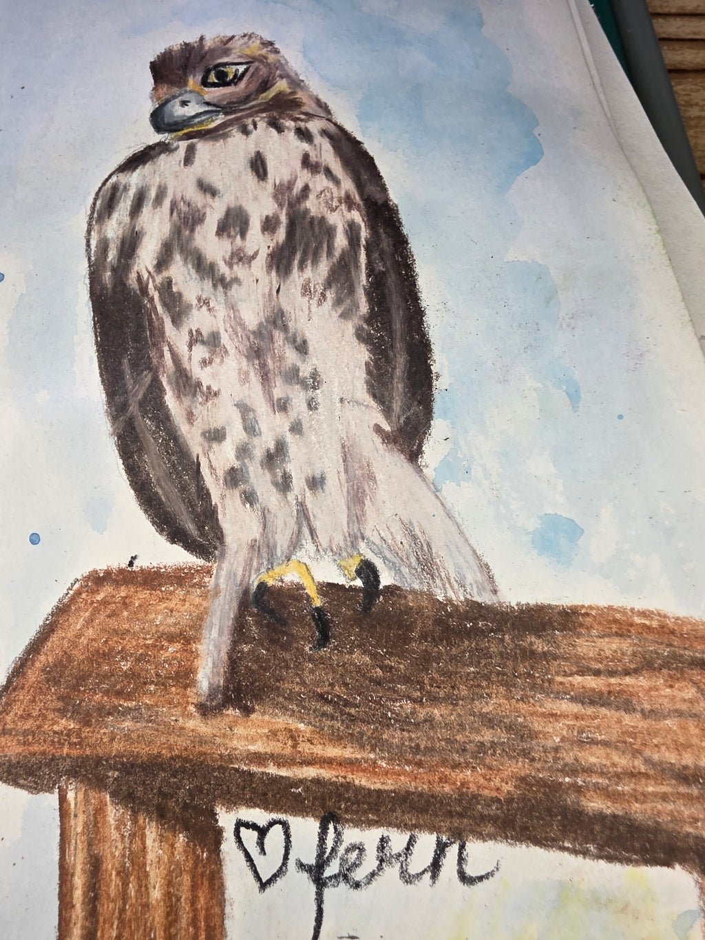 Birds of prey