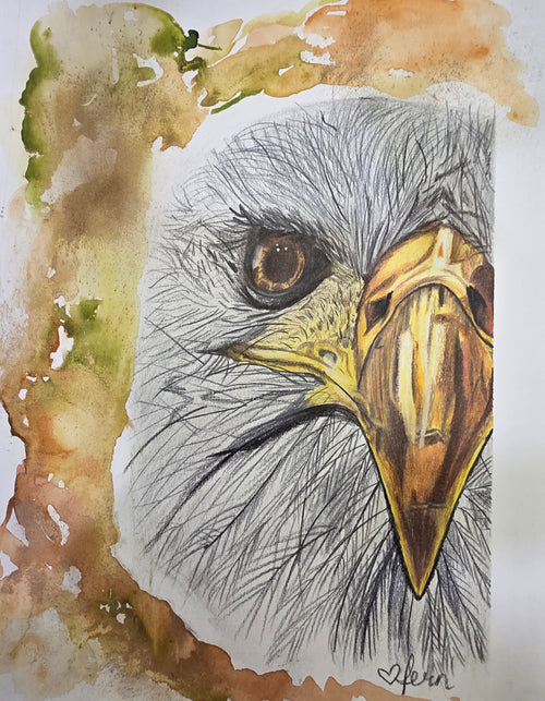 Eagle