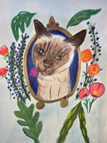 Macca the cat