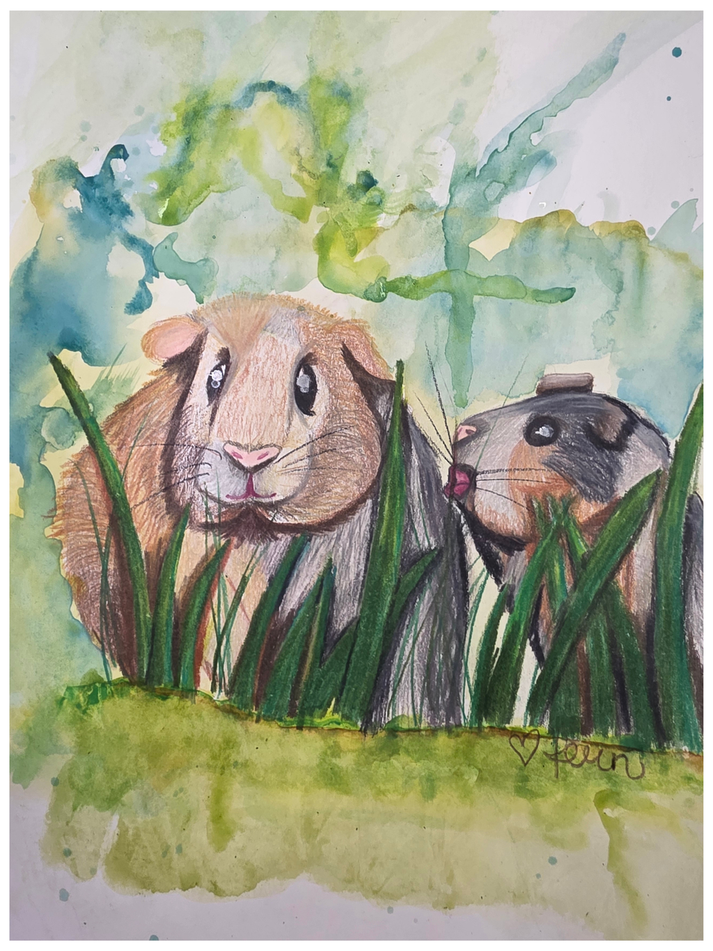 Guinea piggies