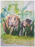 Guinea piggies