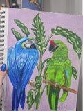 Two parrots