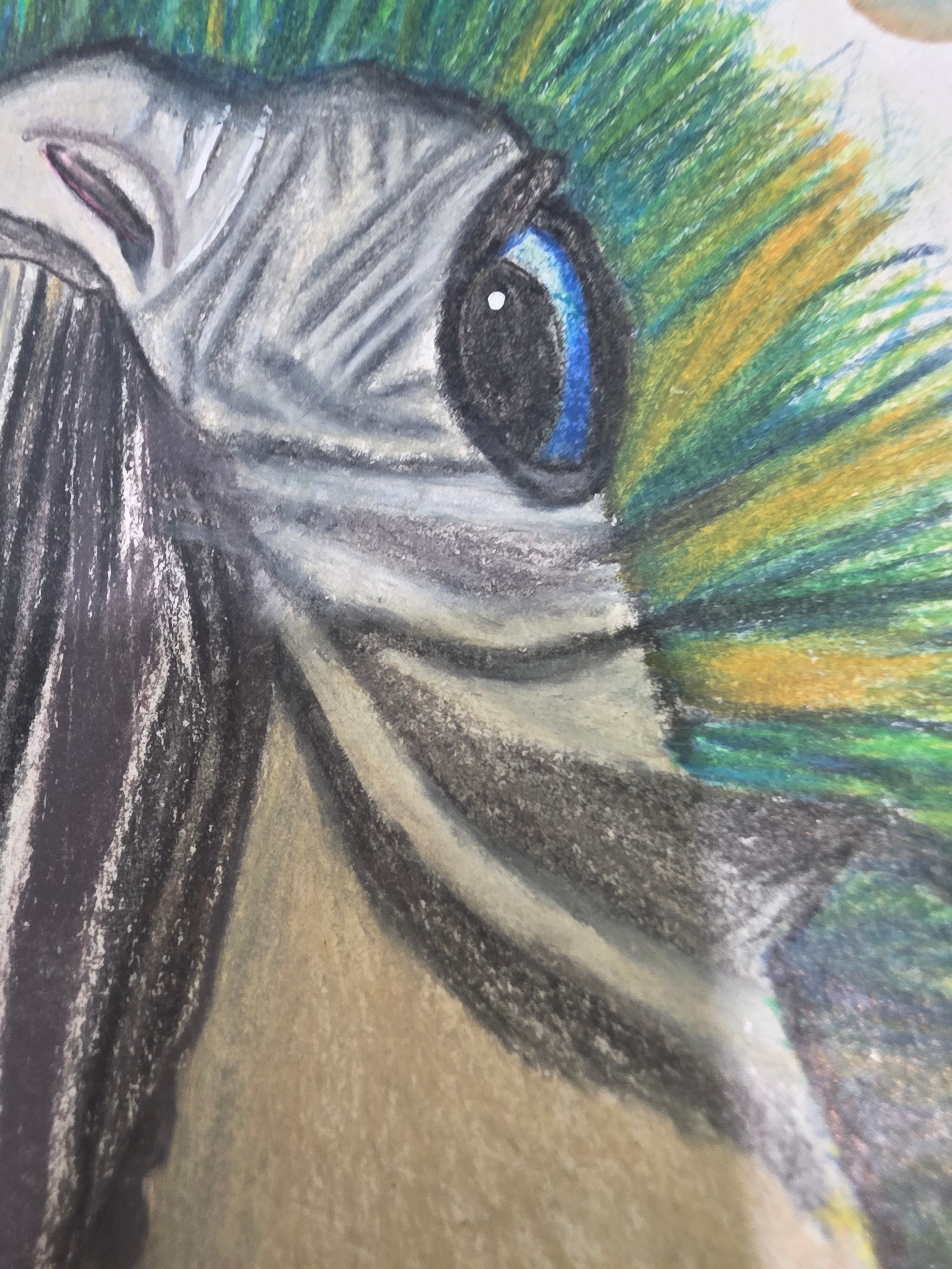 Parrot