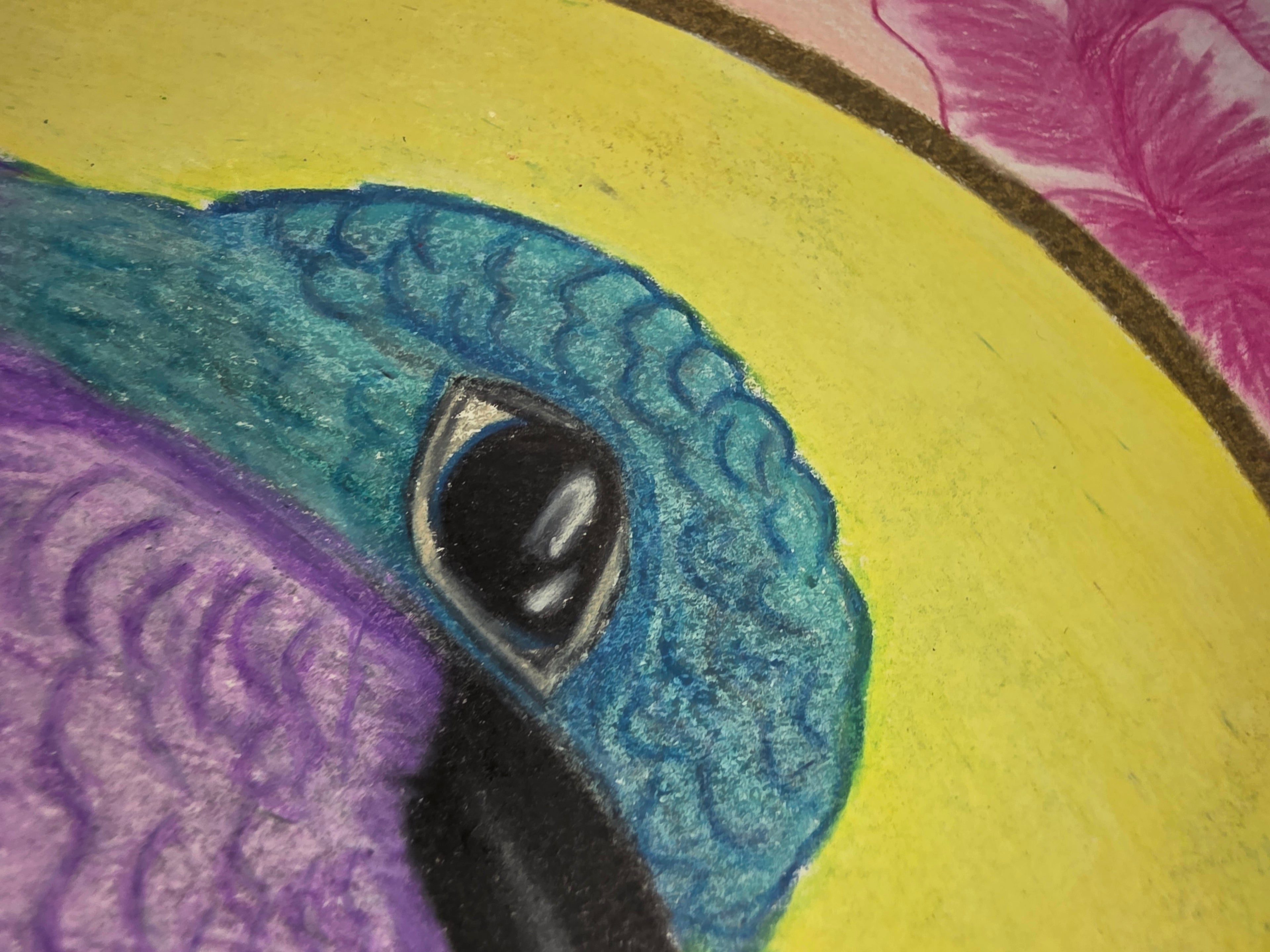 Hummingbird