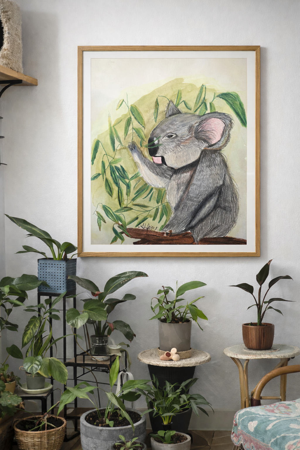Koala
