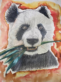 Bamboo