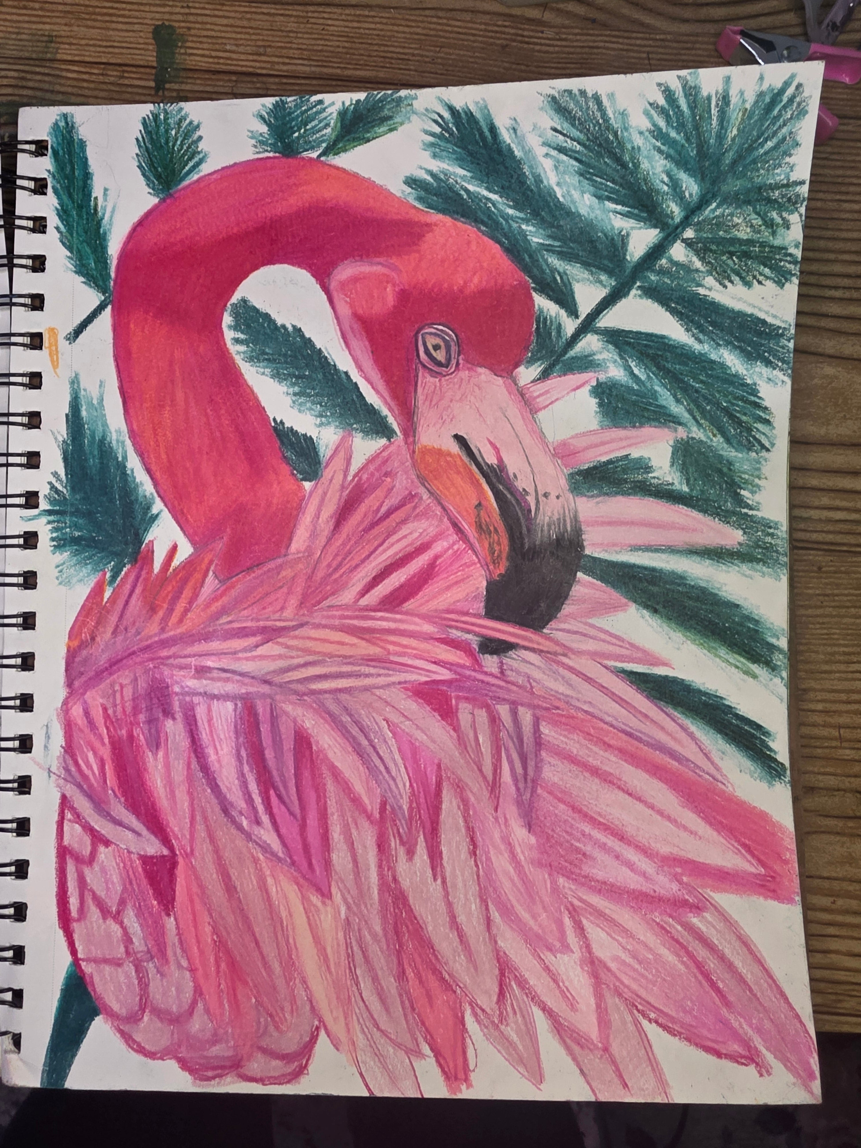 Flamingo
