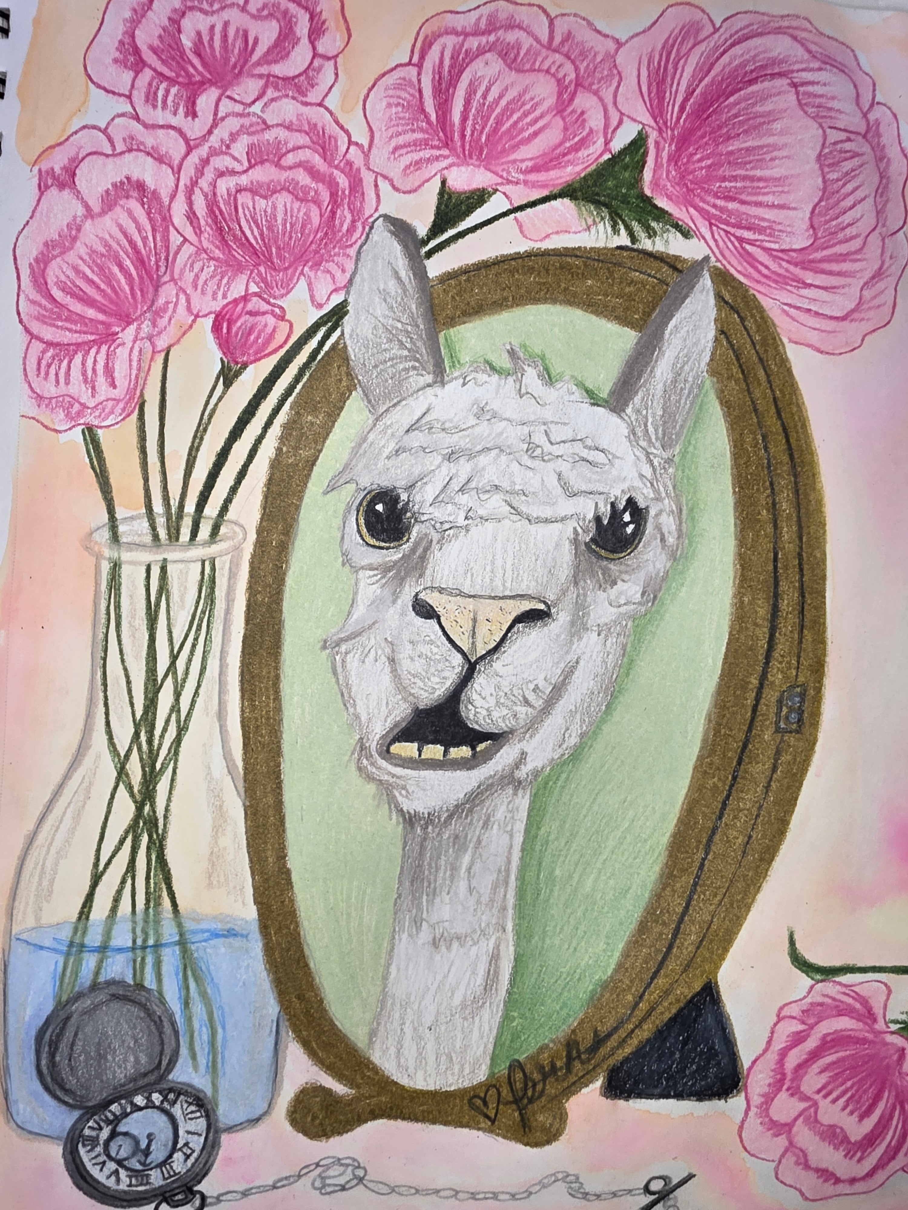 No drama Llama