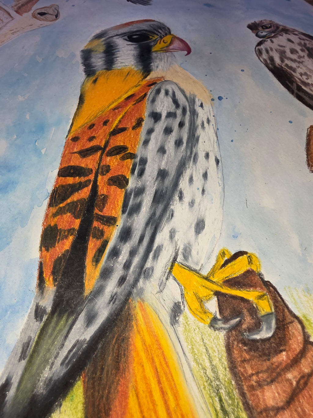 Birds of prey