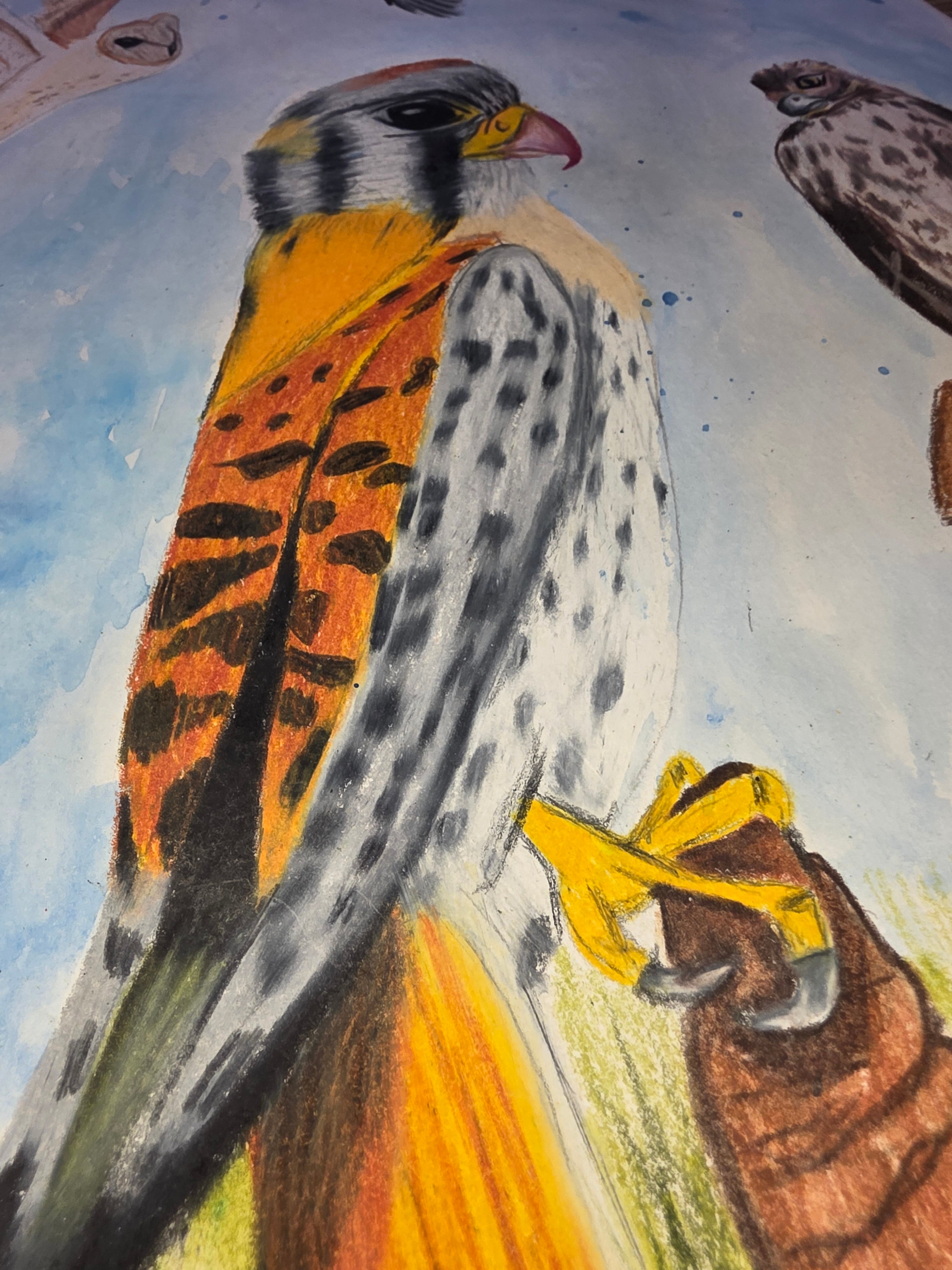Birds of prey