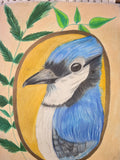 The whimsy Jay
